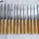 12 fruit knives, dessert. horn handle. length 19 cm