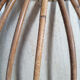 Paire abats jour, rotin, vintage, années 60