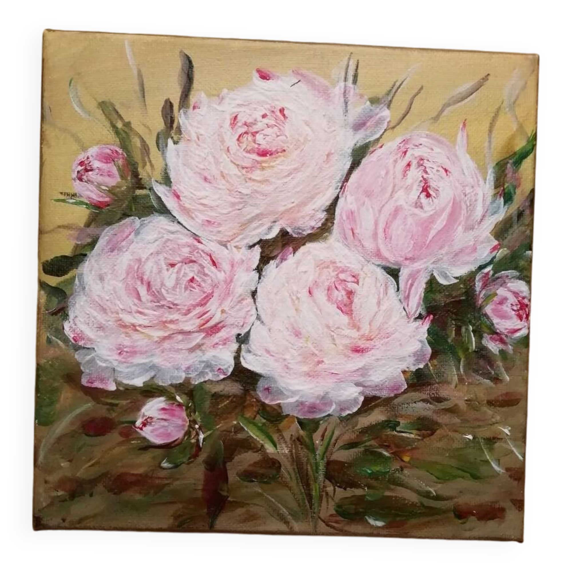 Pink peony paintings