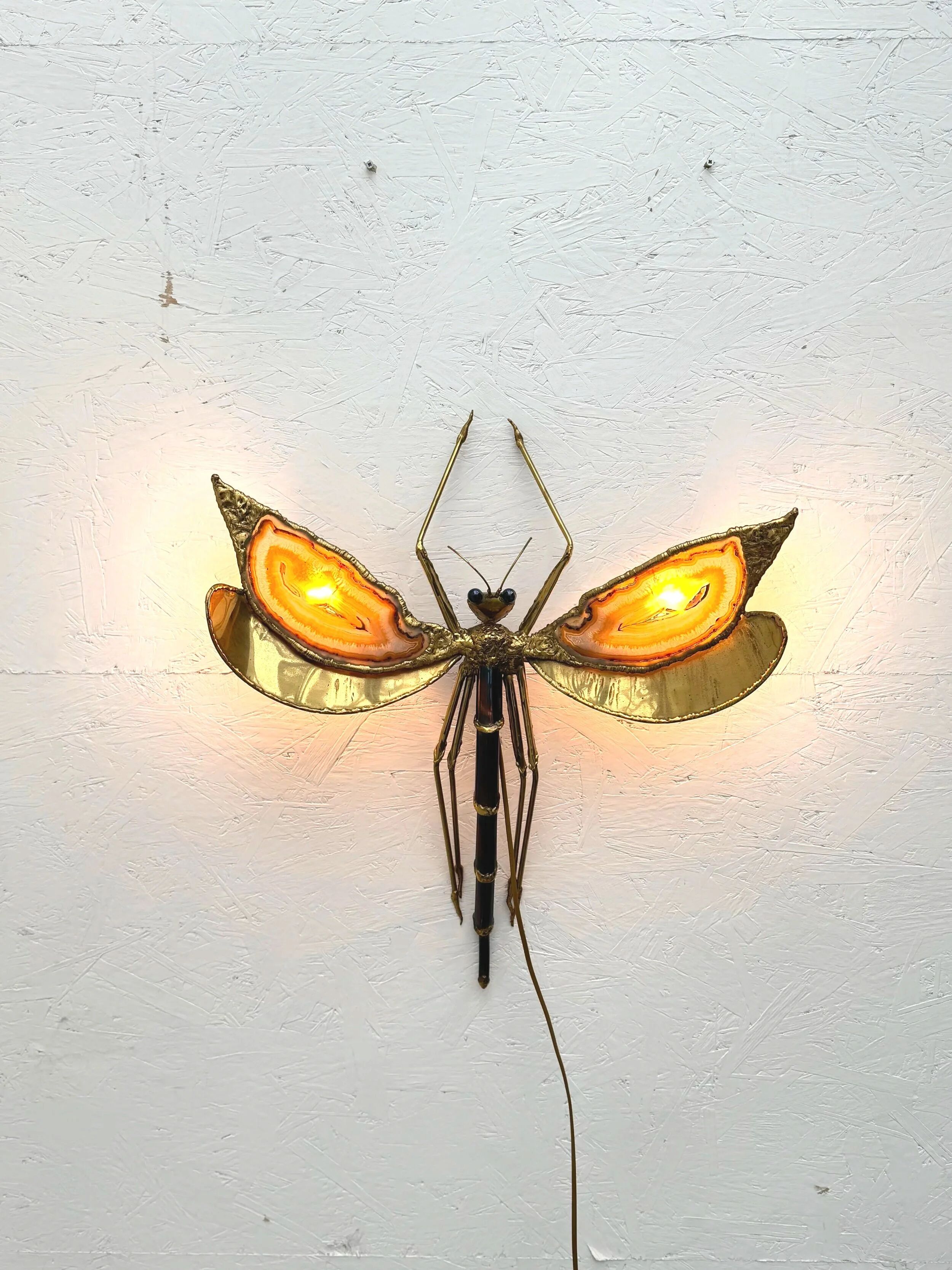 "Libellule" wall light by Jacques Duval Brasseur in brass and agate, 1970.