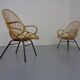 Set of Dutch Mid-Century Bamboo Chairs by Rohé Noordwolde, 1950s
