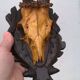 Crane deer taxidermy