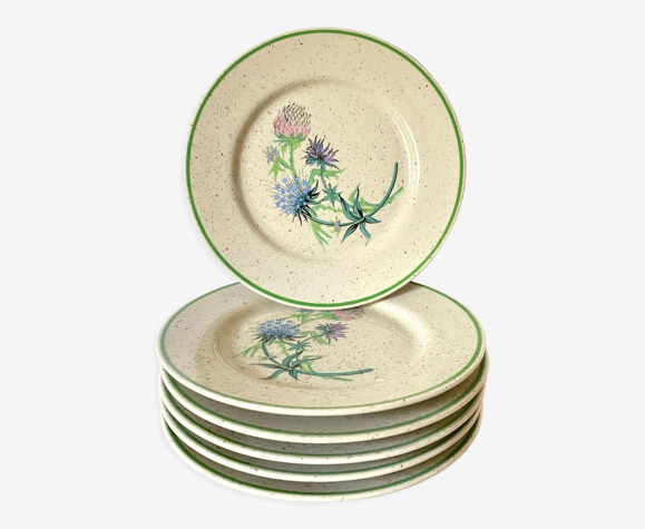 6 assiettes à dessert fleuries