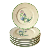 6 floral dessert plates