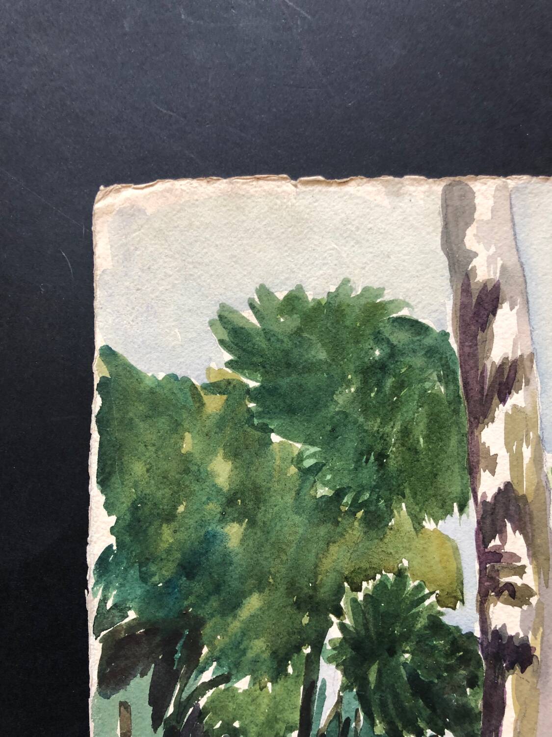 Landscape drawing Bois Clamart