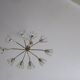 Emil Stejnar for Rupert Nikoll elliptical chandelier, Austria 1950s