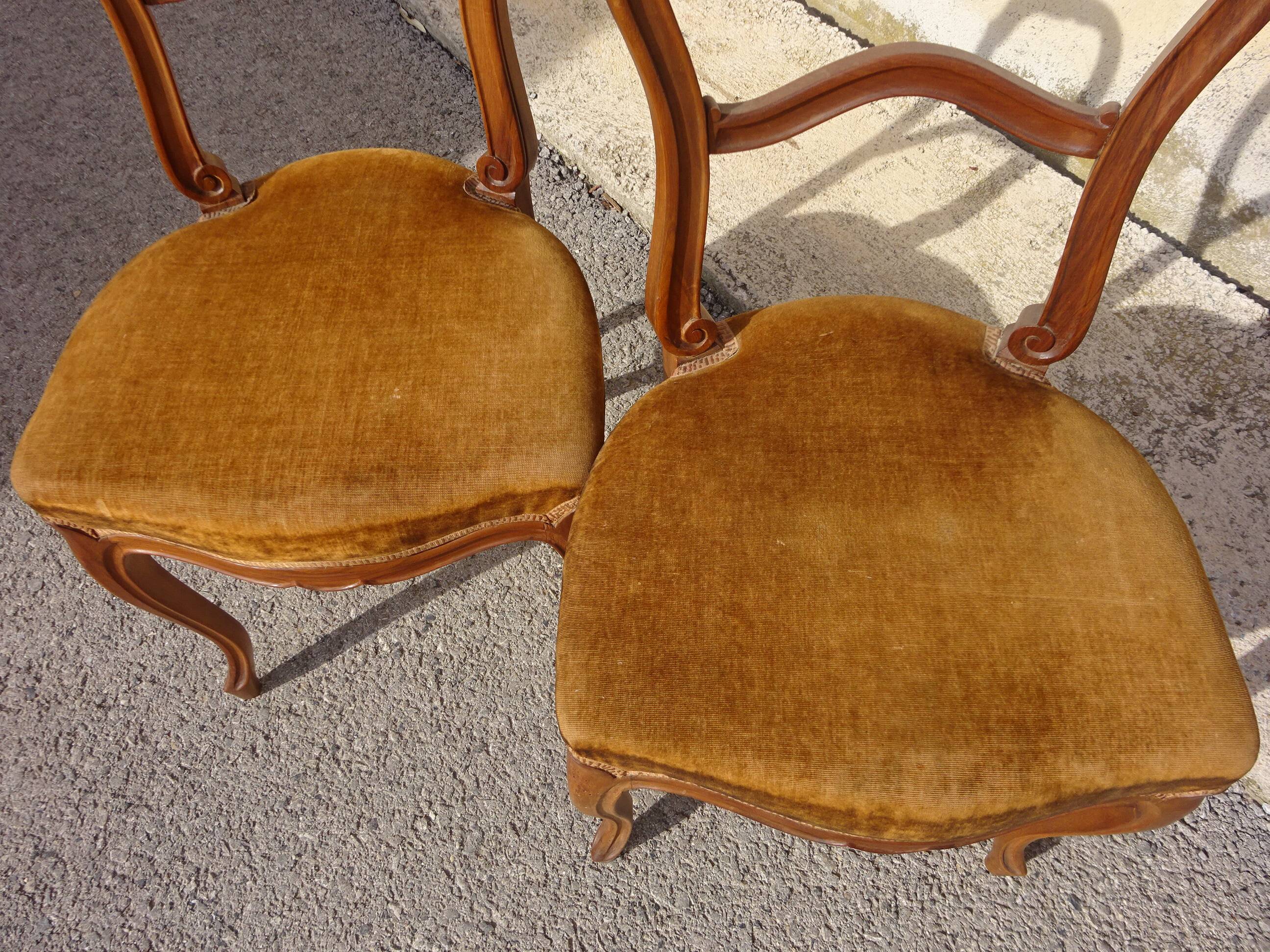 2 old chairs in walnut and velvet