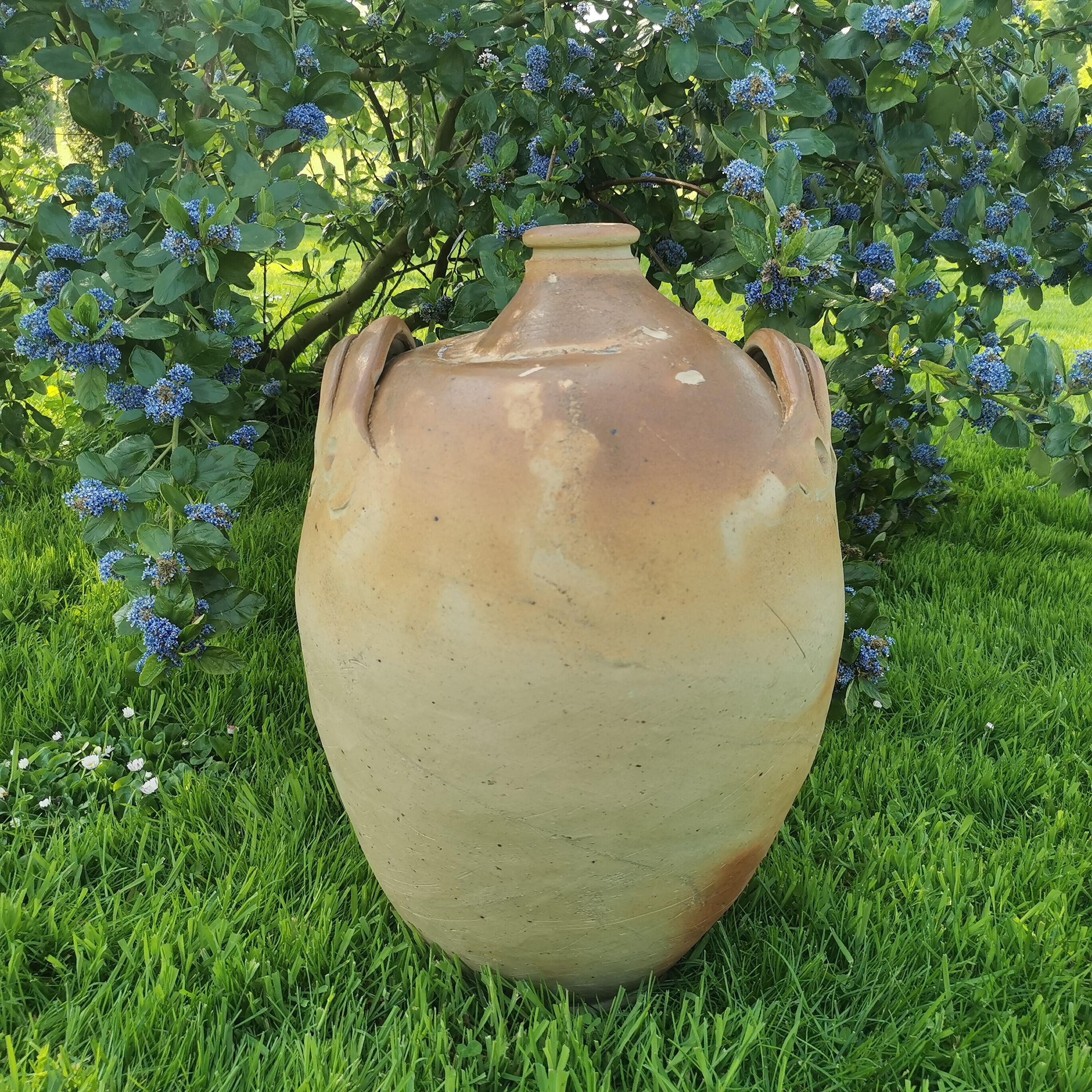 Terracotta jar 54cm