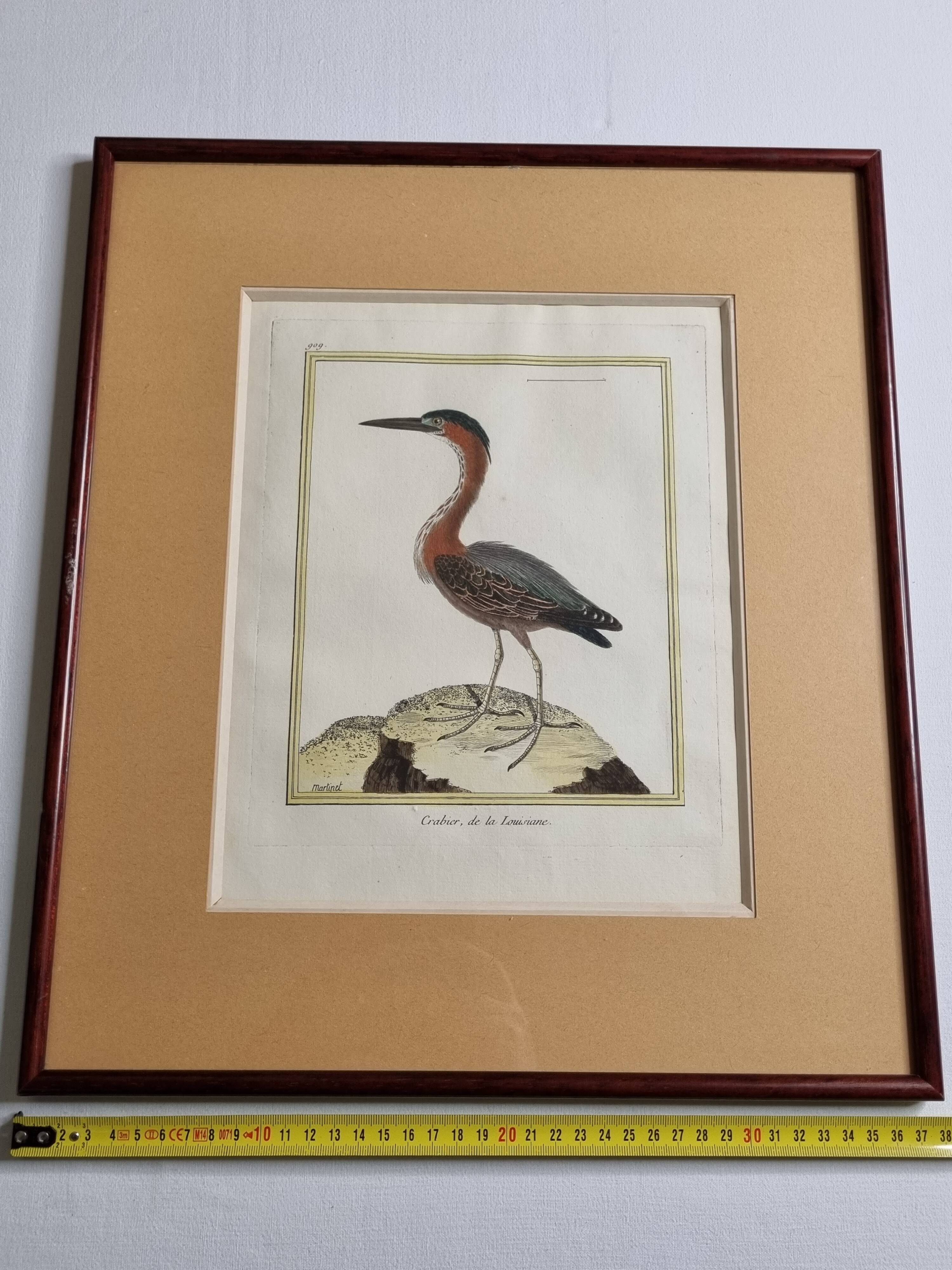 Original engraving by François Nicolas Martinet, 18th century, Louisiana crab fisher, framed,