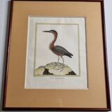 Original engraving by François Nicolas Martinet, 18th century, Louisiana crab fisher, framed,