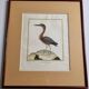 Original engraving by François Nicolas Martinet, 18th century, Louisiana crab fisher, framed,