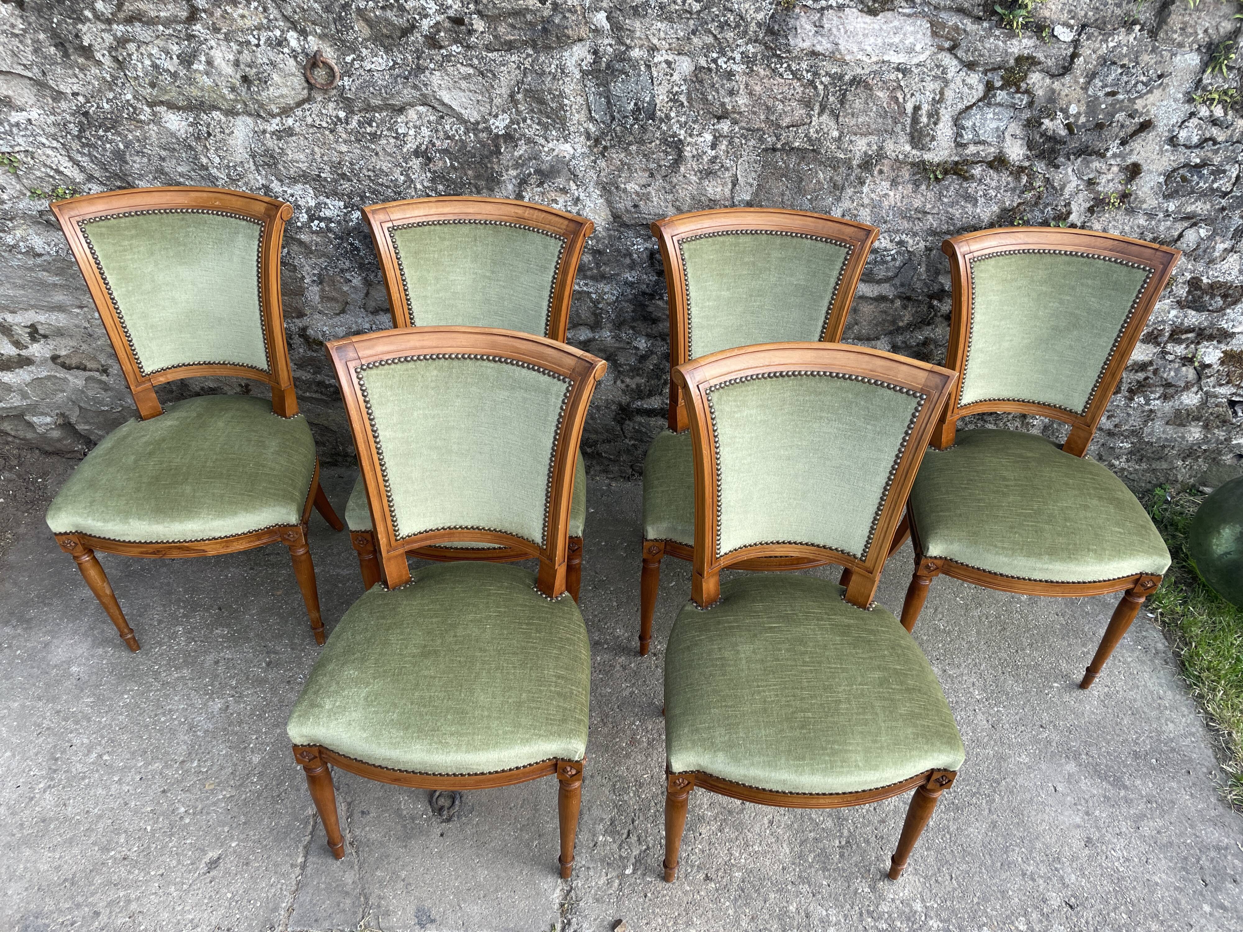 Set de 6 chaises Directoire en velours vert amande