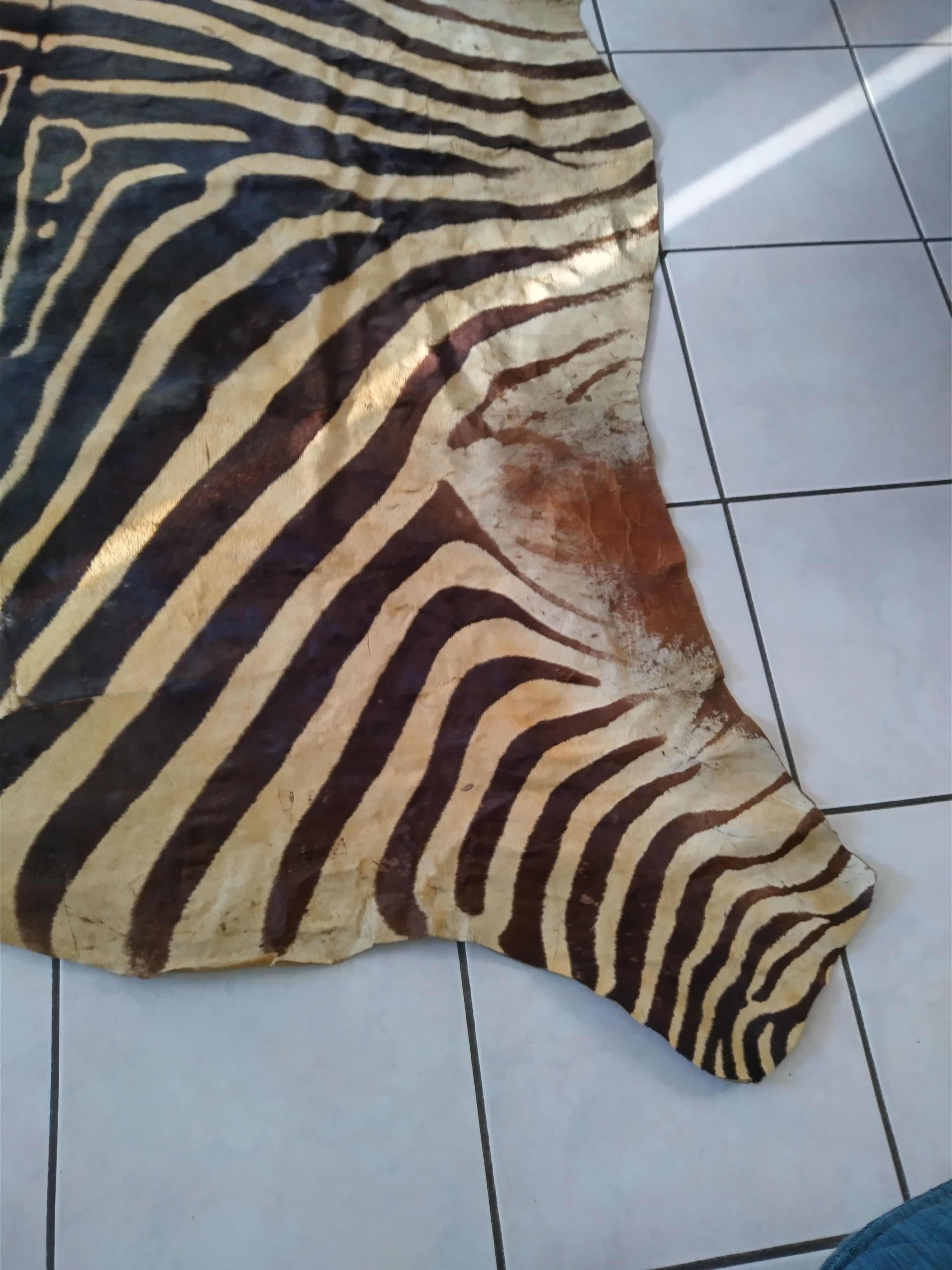 Zebra skin