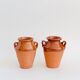 Pair of terracotta amphora vases