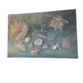 Tableau les coquillages vintage