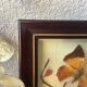 Vintage naturalized butterflies frame - cabinet of curiosities - taxidermy