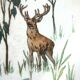 Assiette doulton, grands dépôts de paris: la confrontation des cerfs