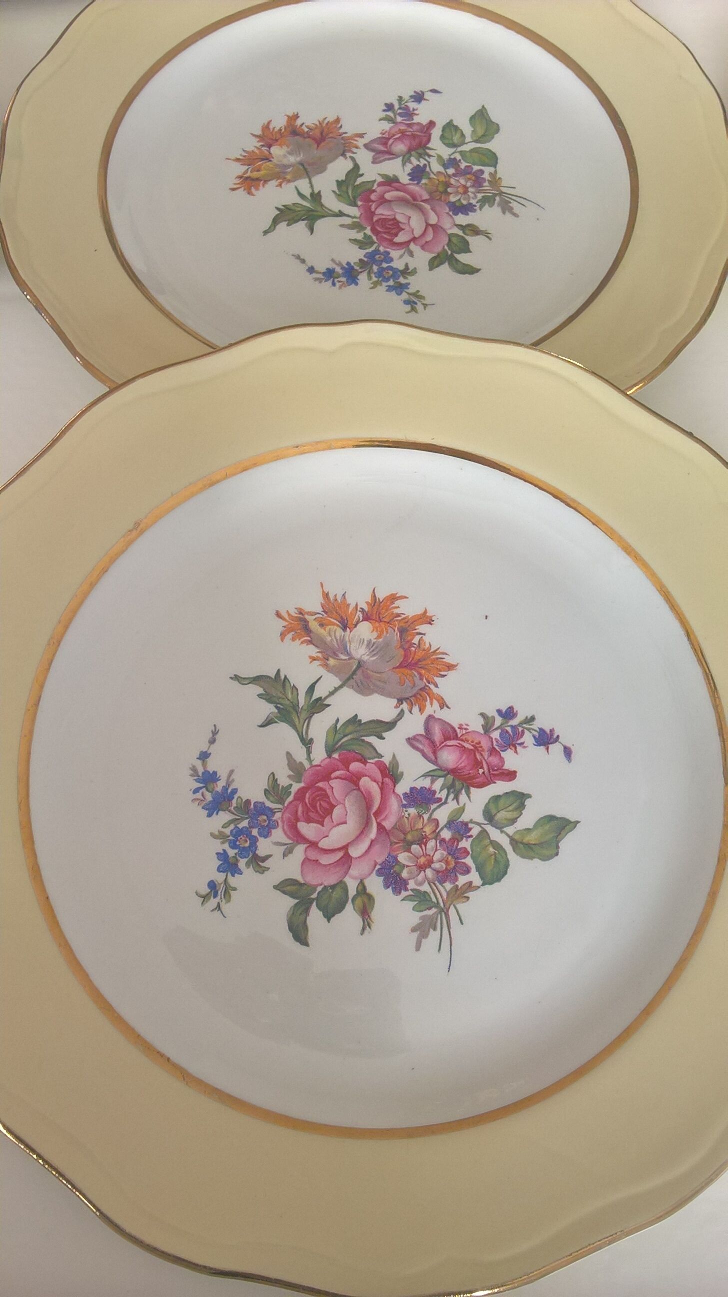 9 flat plates L'Amandinoise