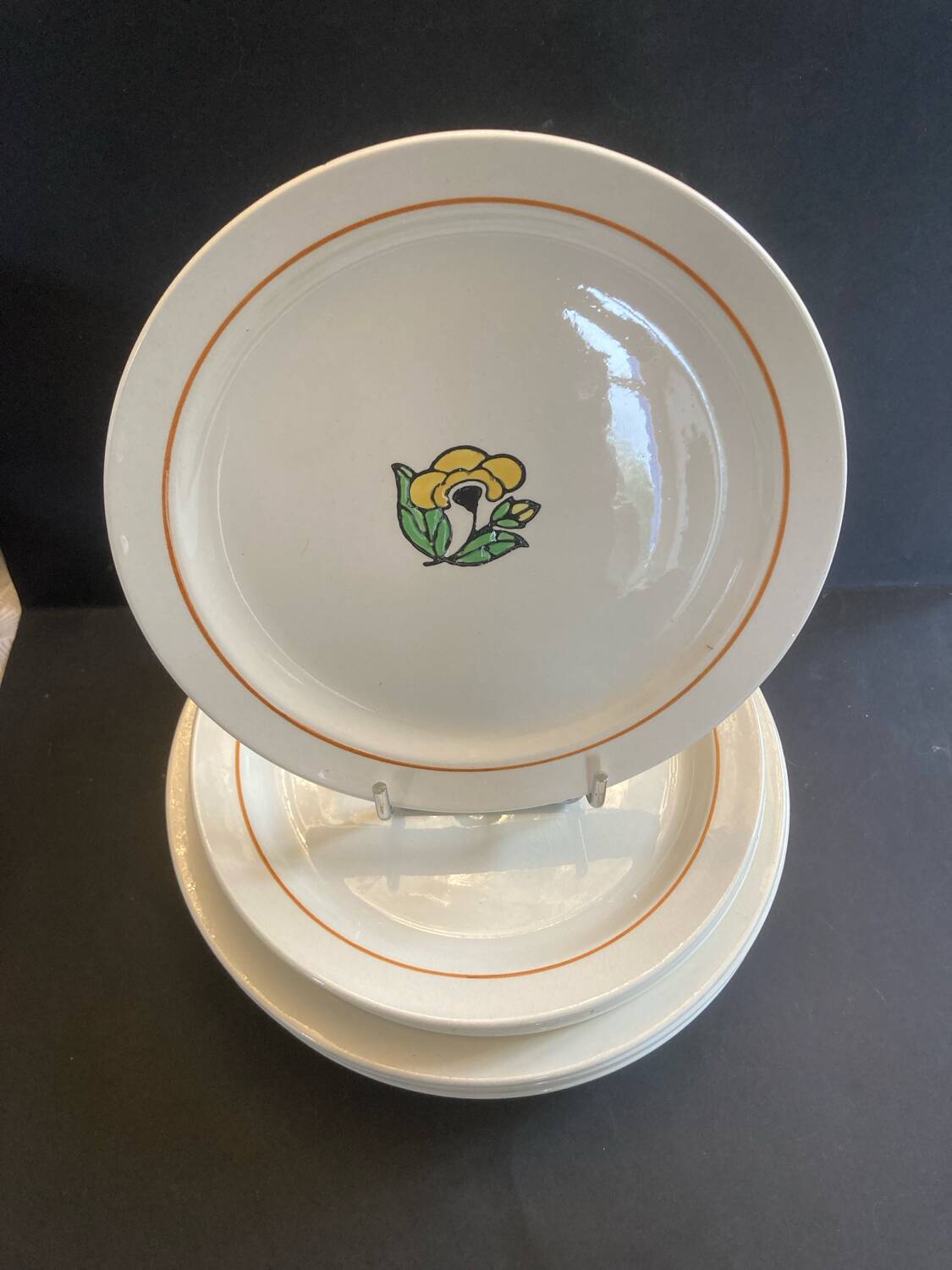 Lot 11 assiettes salins terre de fer