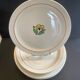 Lot 11 assiettes salins terre de fer