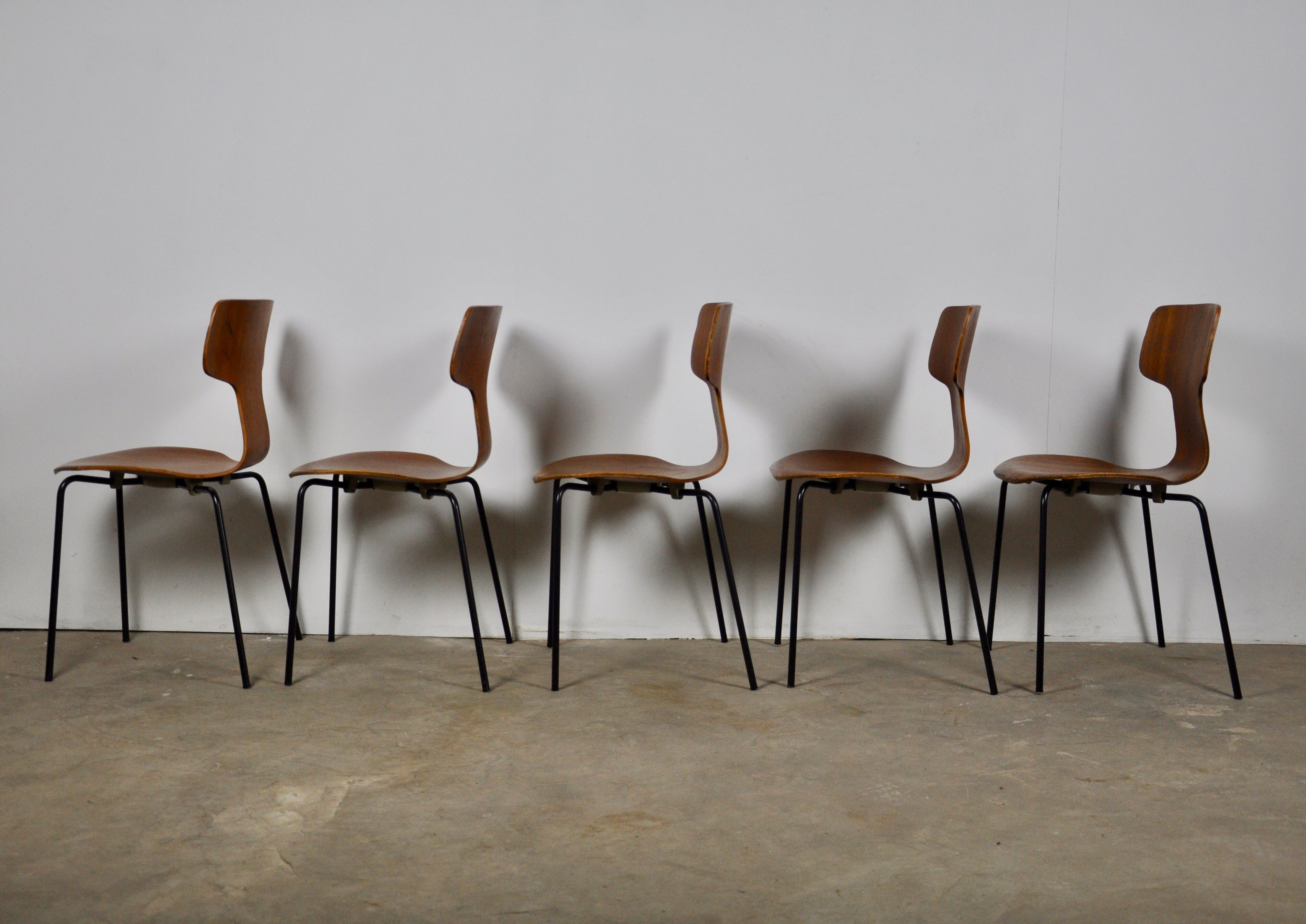Chaises Hammer par Arne Jacobsen pour Fritz Hansen, 1960