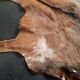 Goat skin 135 cm x 88 cm
