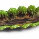 Mid-Century Majolica Centerpiece by Vallauris, Handmade, 1950s France