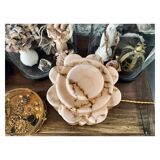 Lampe globe art deco en opaline marbrée rose