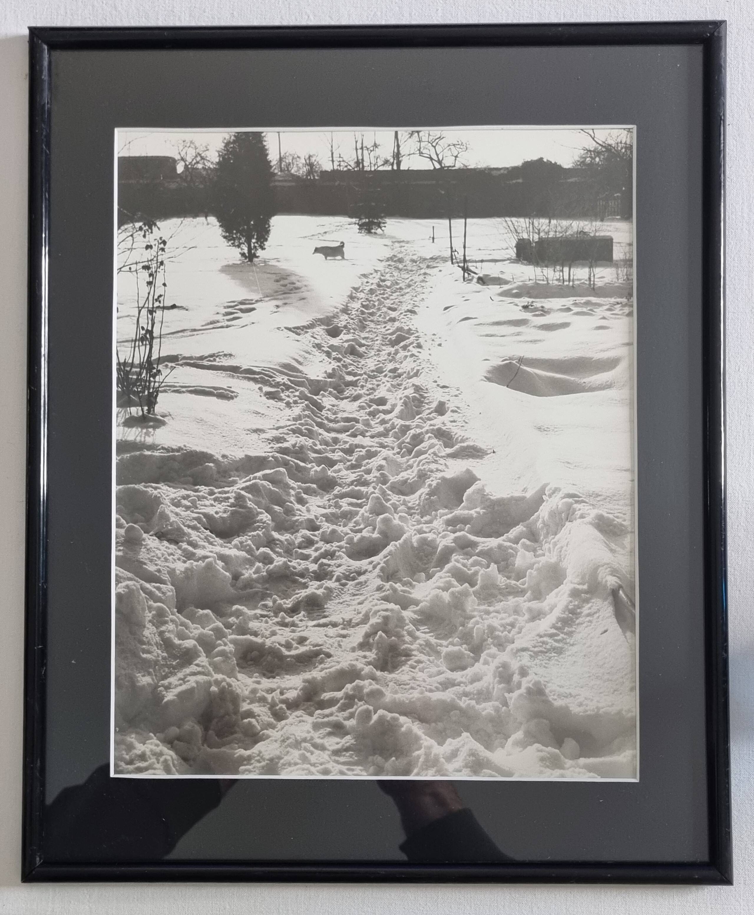 Vintage silver print of a snowy landscape with a dog, framed 32x39 cm.