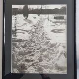 Vintage silver print of a snowy landscape with a dog, framed 32x39 cm.