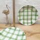 Paire assiettes plates nappe verte