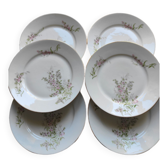 Antique porcelain plates