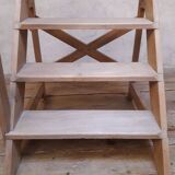Library and workshop stepladder, 19th century