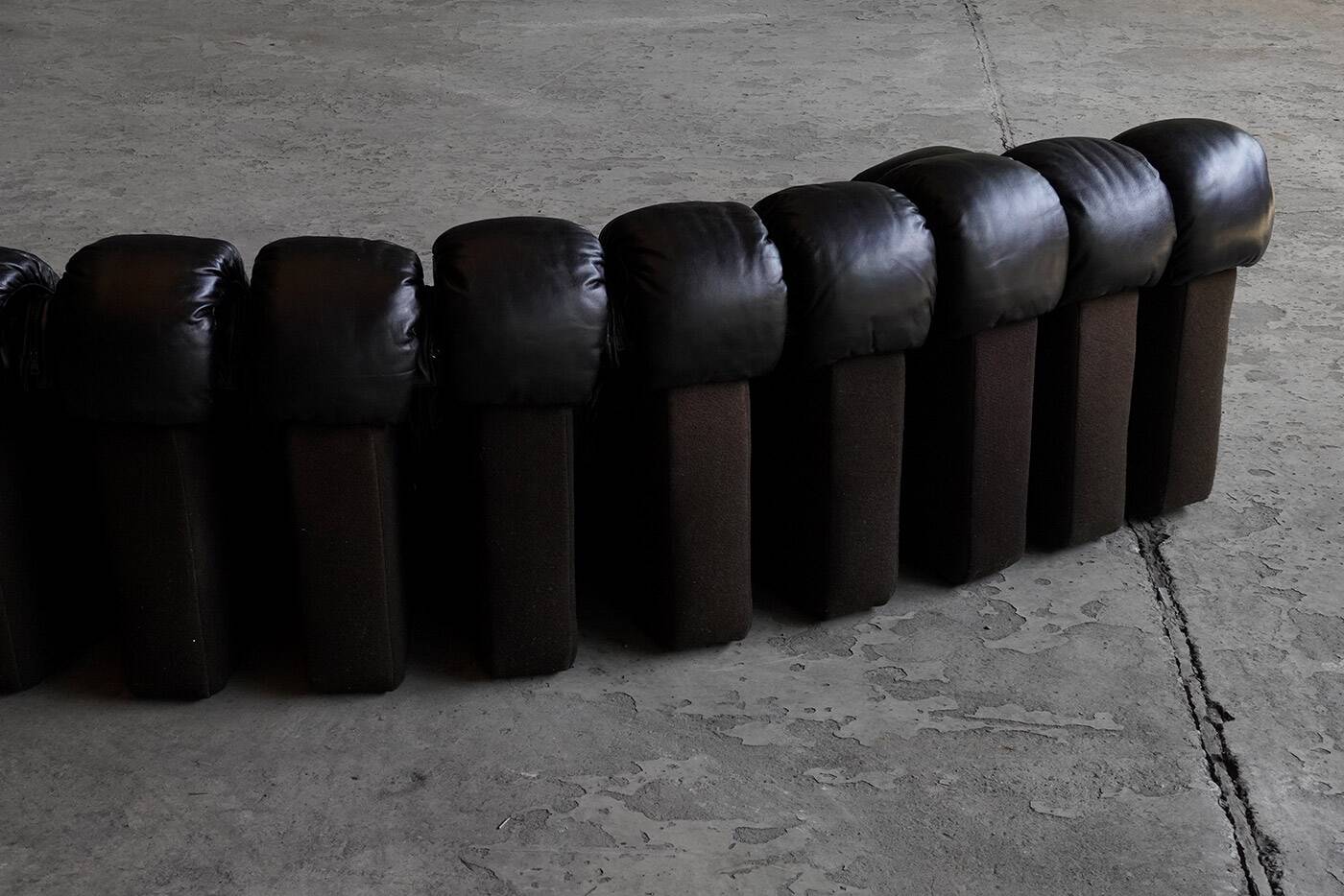 De Sede DS600 snake sofa in black leather by Ueli Berger, Switzerland 1970s
