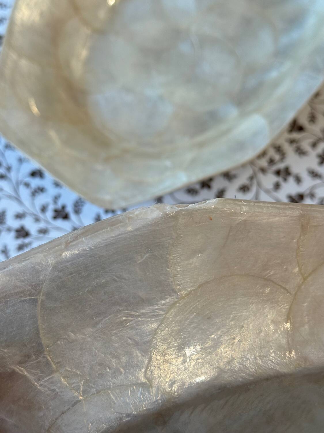 Set of two vintage mother-of-pearl dishes