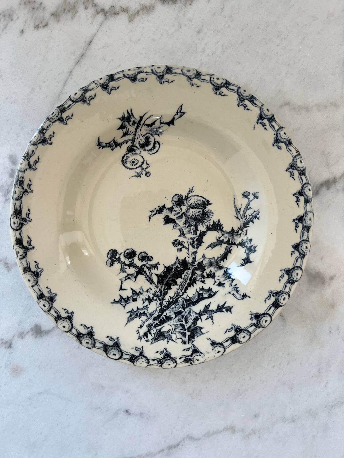 Deep plates Terre de Fer thistles Gien