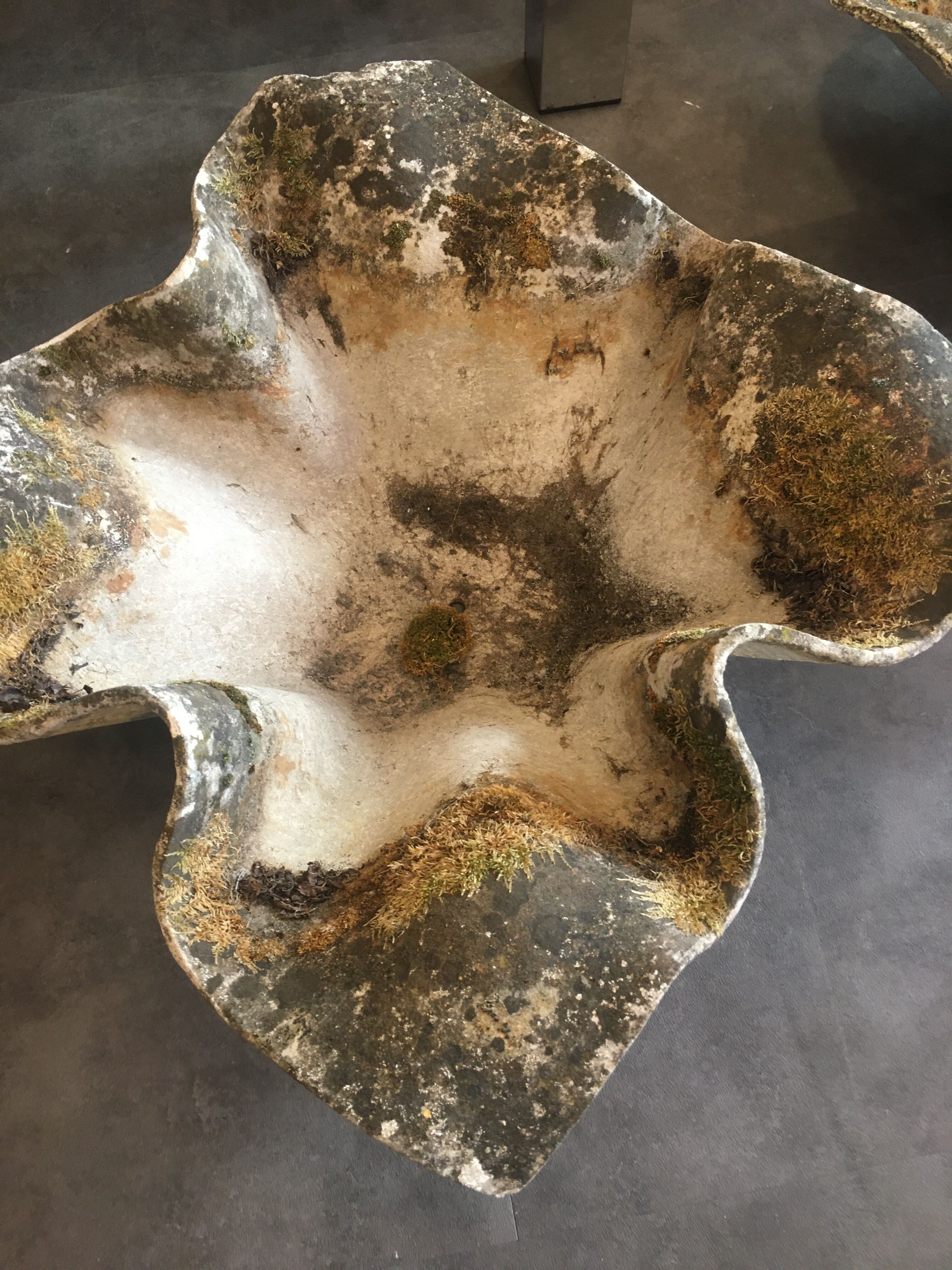 Jardinières de marque Élo