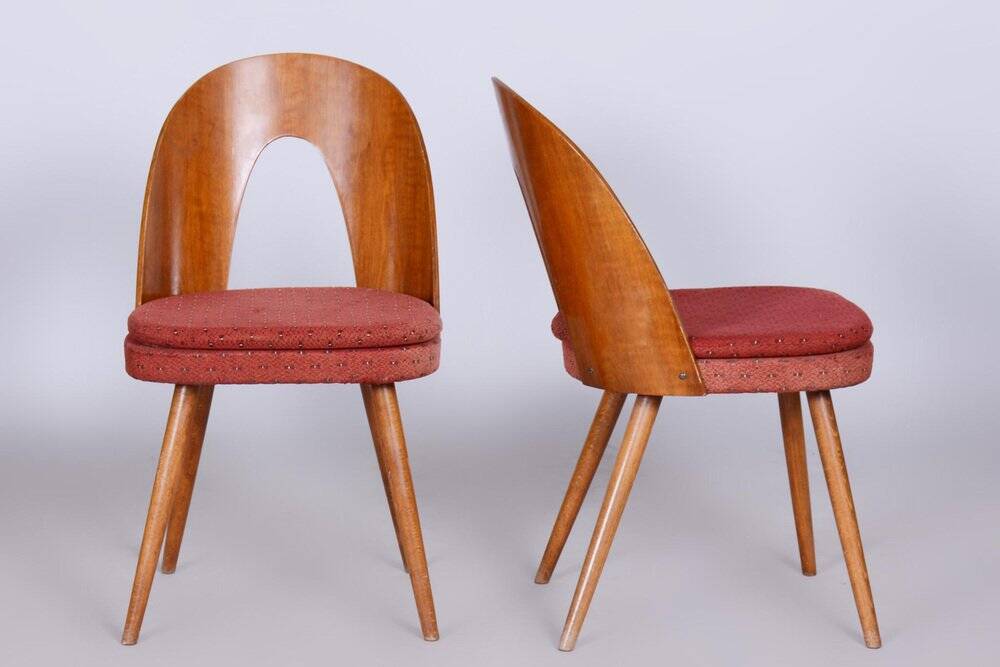 Set of Mid-Century Czech Chairs by Antonin Suman, 1950s