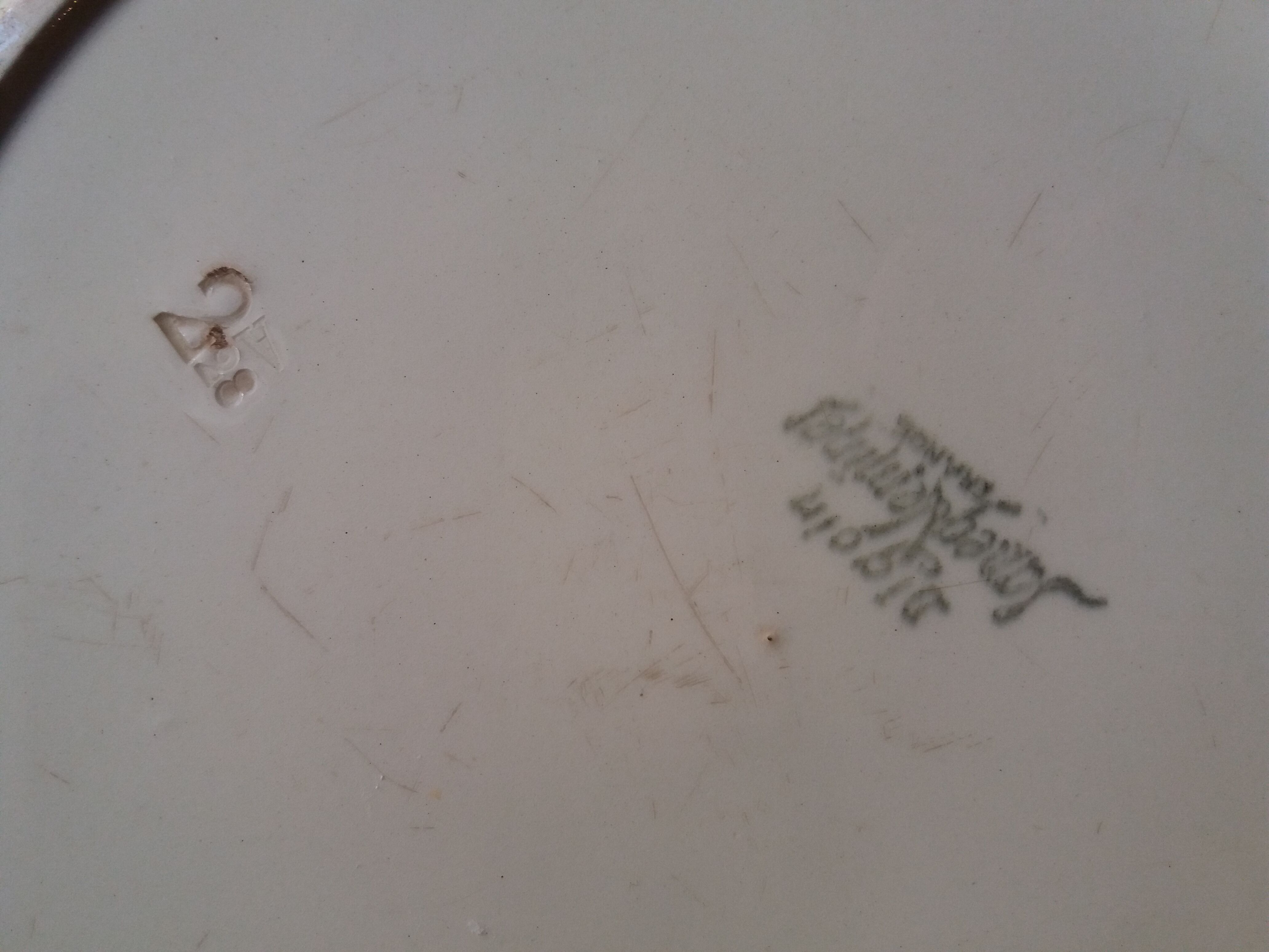 Dish Sarreguemine Digoin