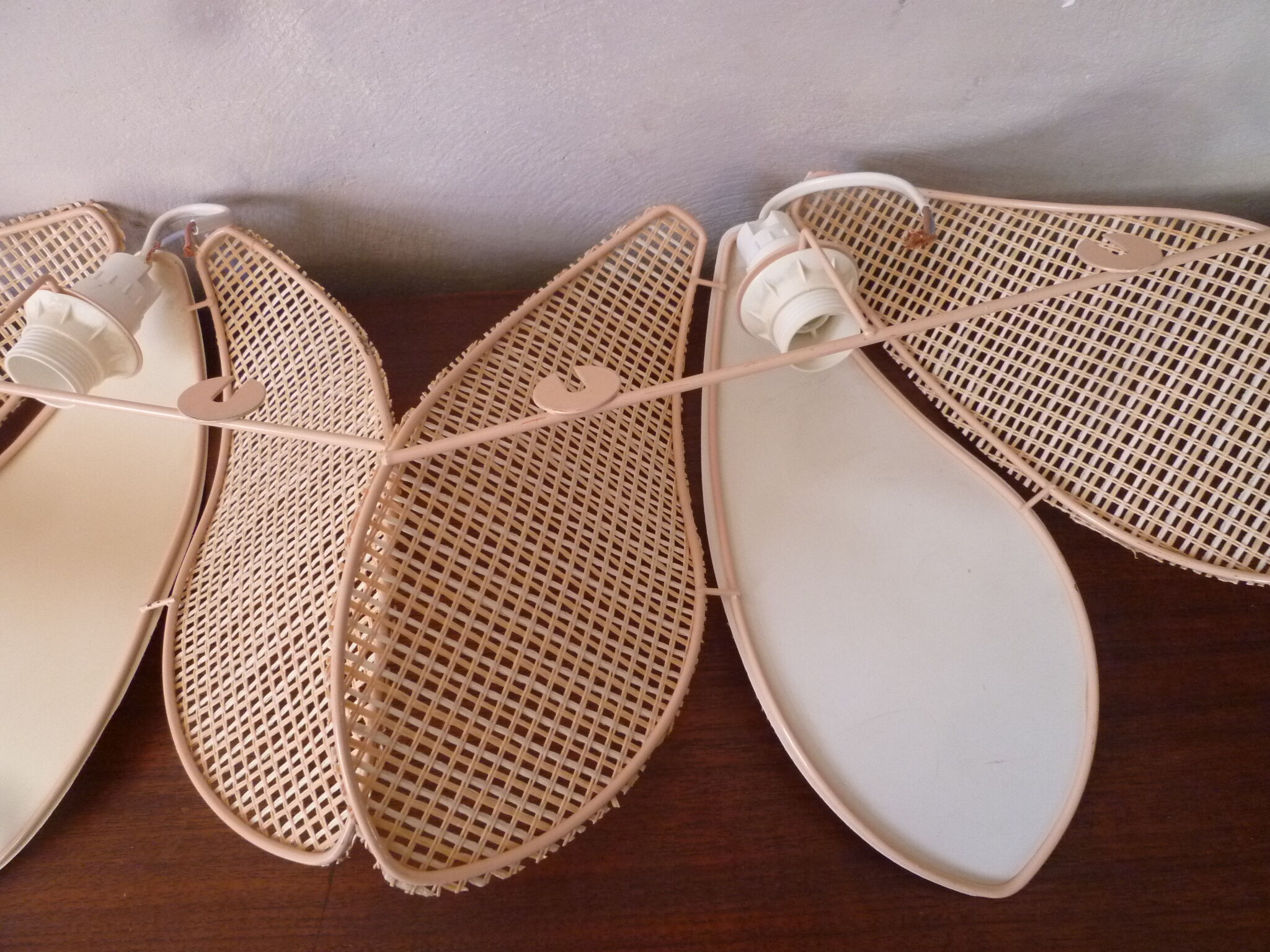 Duo of pink corolla sconces