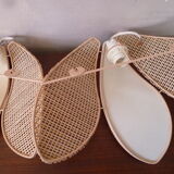 Duo of pink corolla sconces