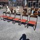 6 Baumann sled chairs in rosewood from the 1960s.