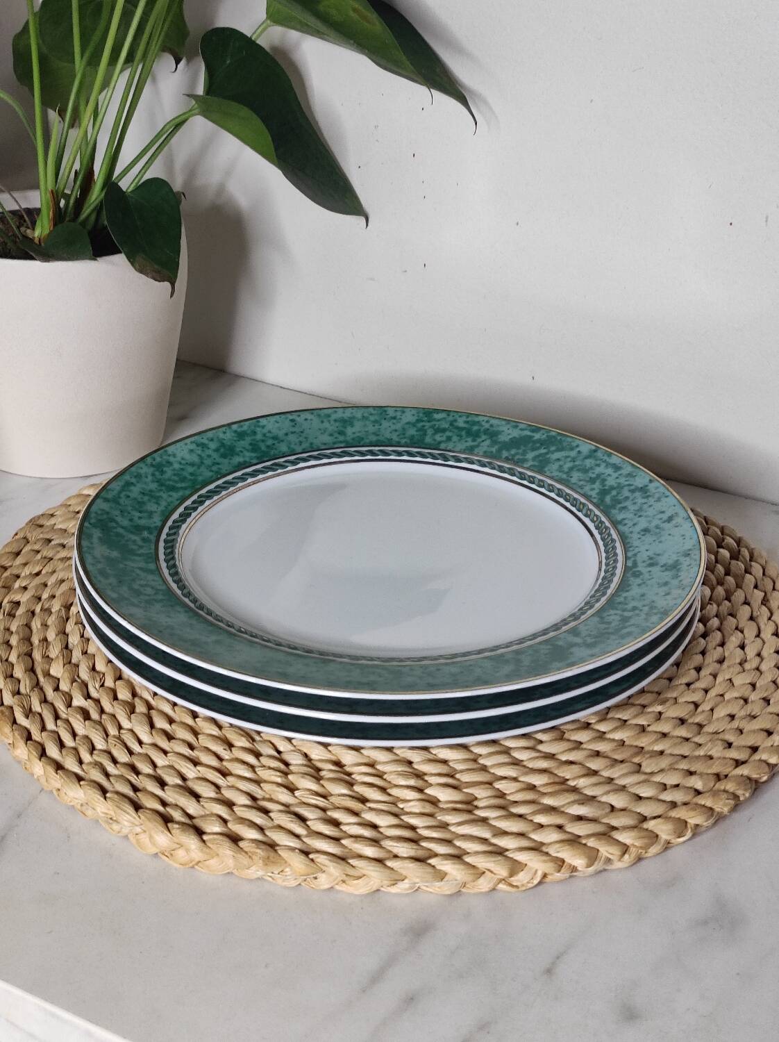Flat plates fine porcelain green rim