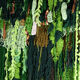 Large tapestry "green wall"