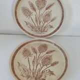 Pair of vintage plates with rusty brown thistle decoration – 1950s