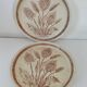 Pair of vintage plates with rusty brown thistle decoration – 1950s