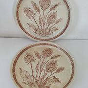 A pair of vintage plates with a rust-brown thistle design – 1950s.