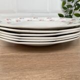 Set of 6 Porcelor Ceranord earthenware soup plates