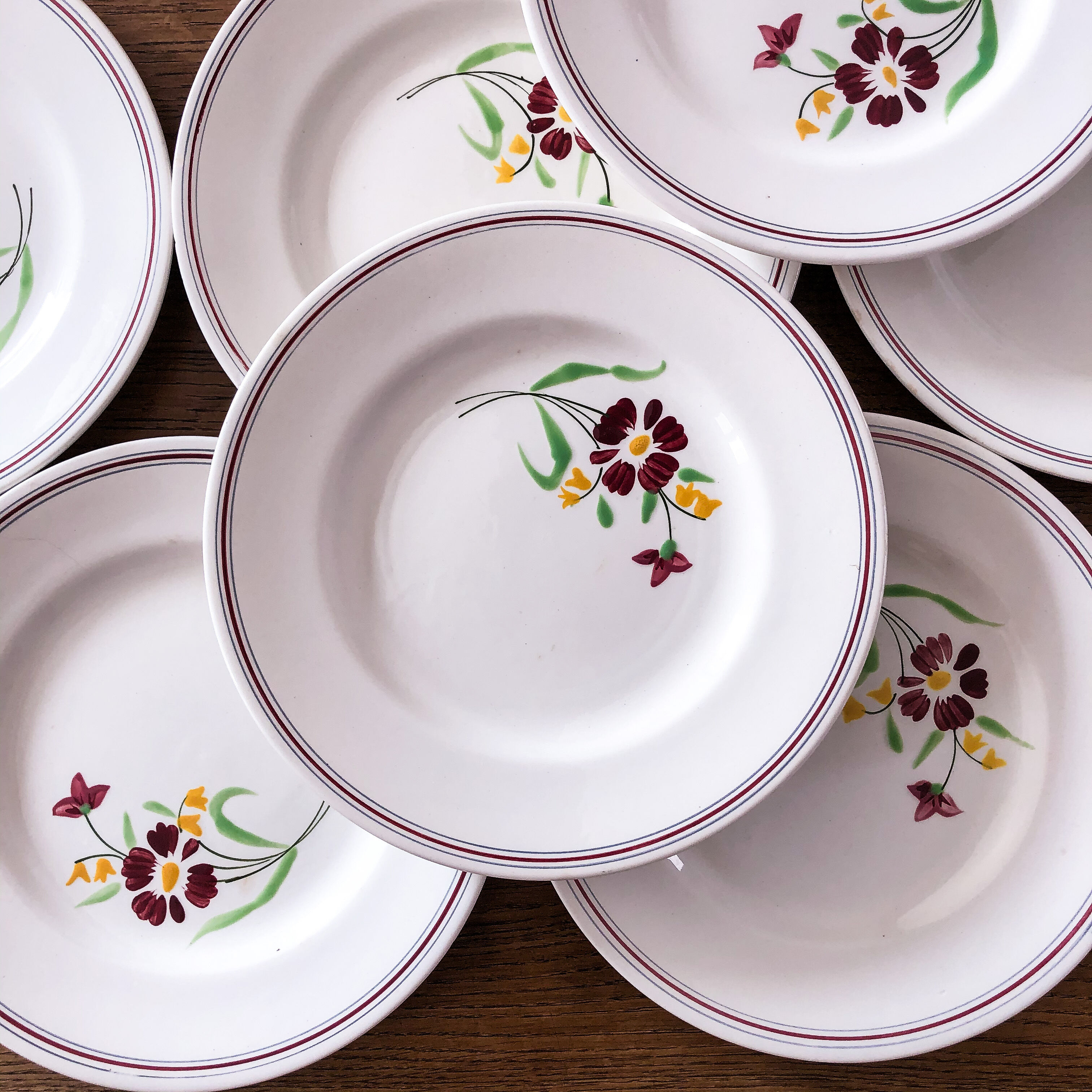 8 plates Salins model Janine