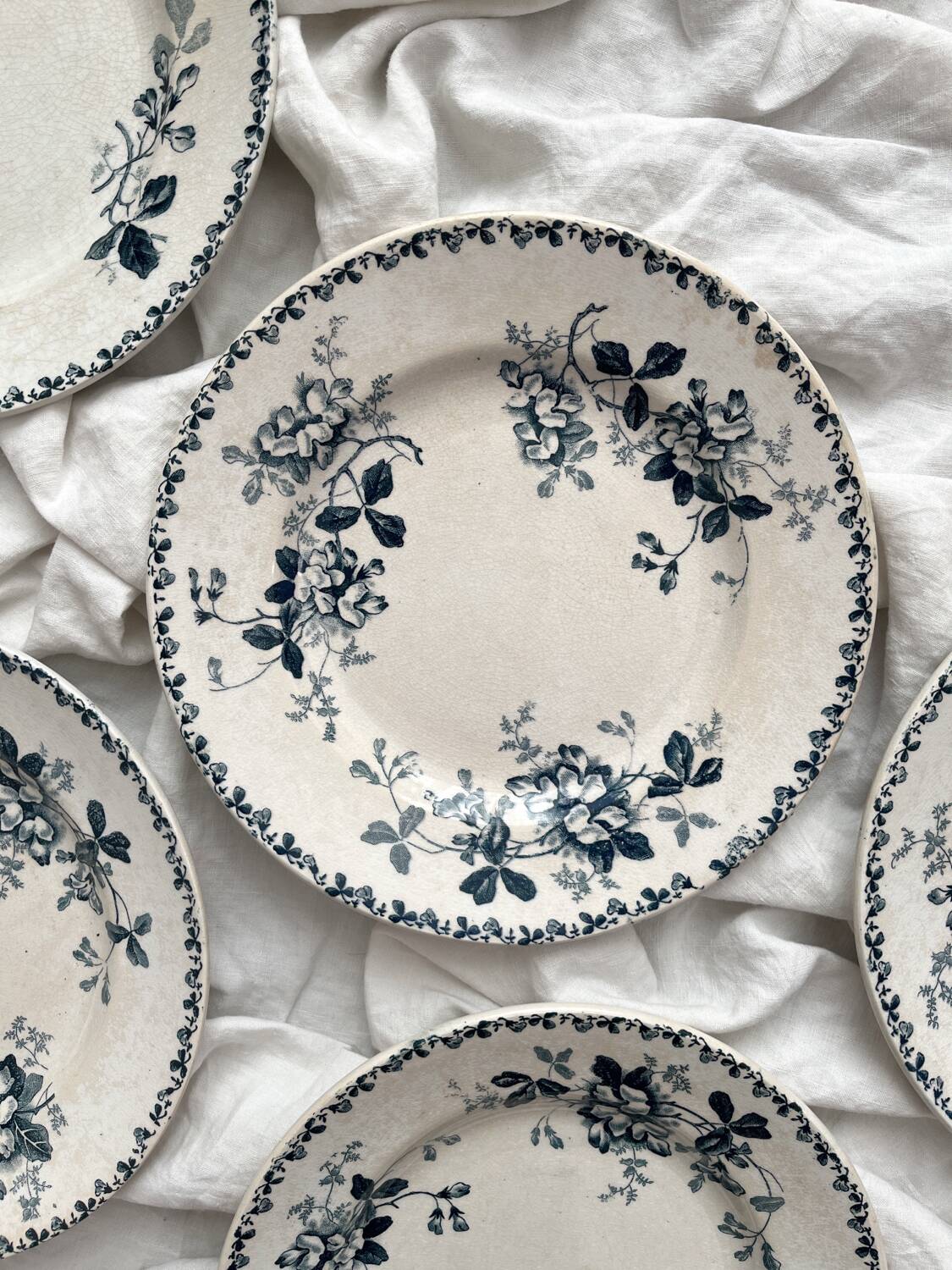 6 assiettes plates en terre de fer « Acacia » Moulin des Loups et Hamage